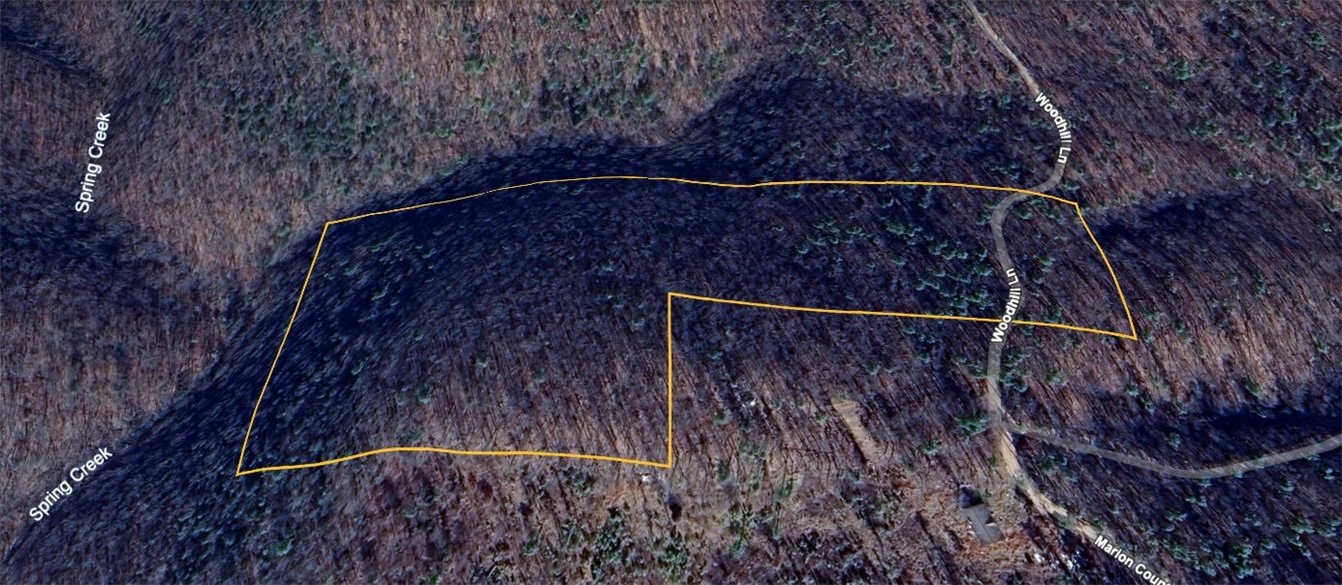 Image 12