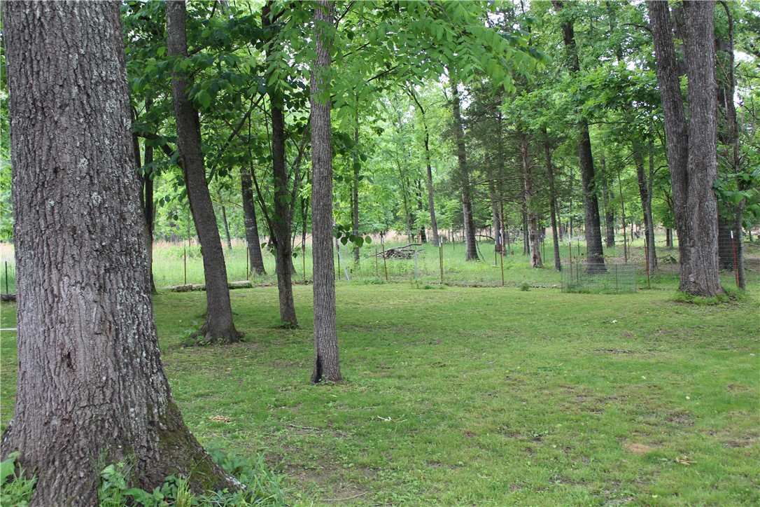 Image 30
