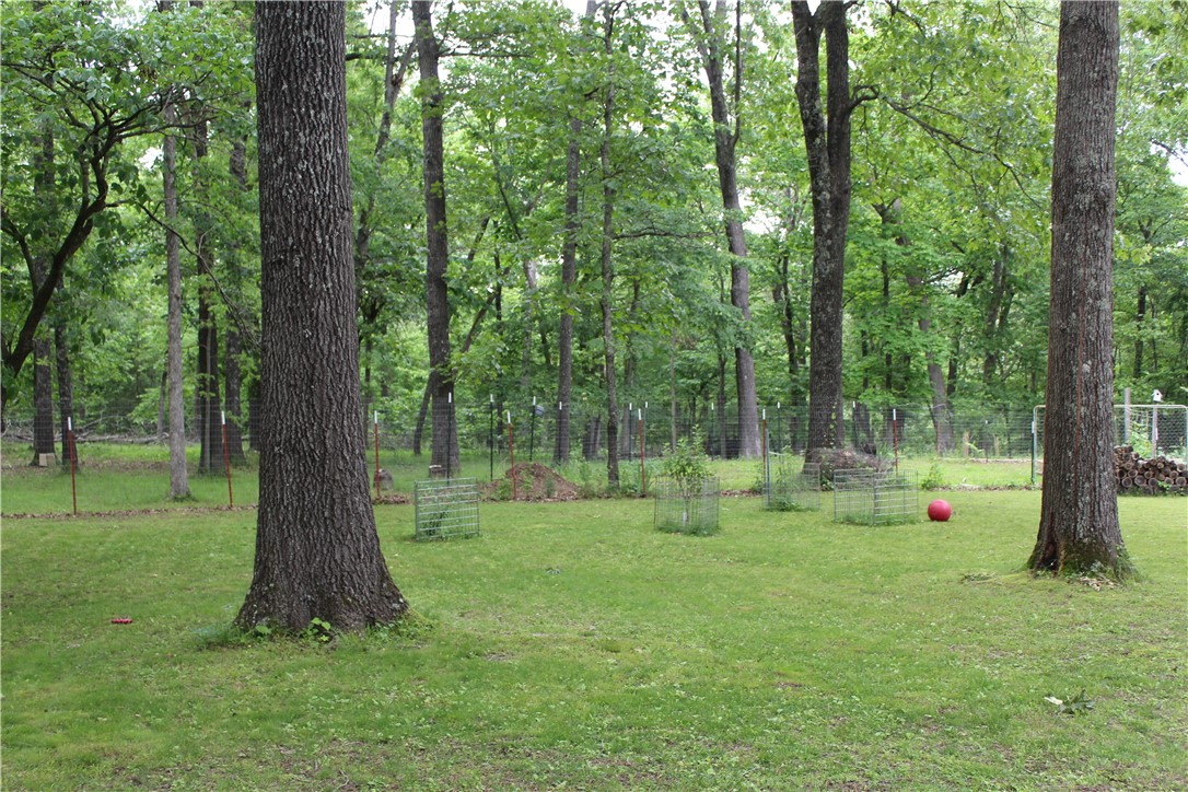 Image 31