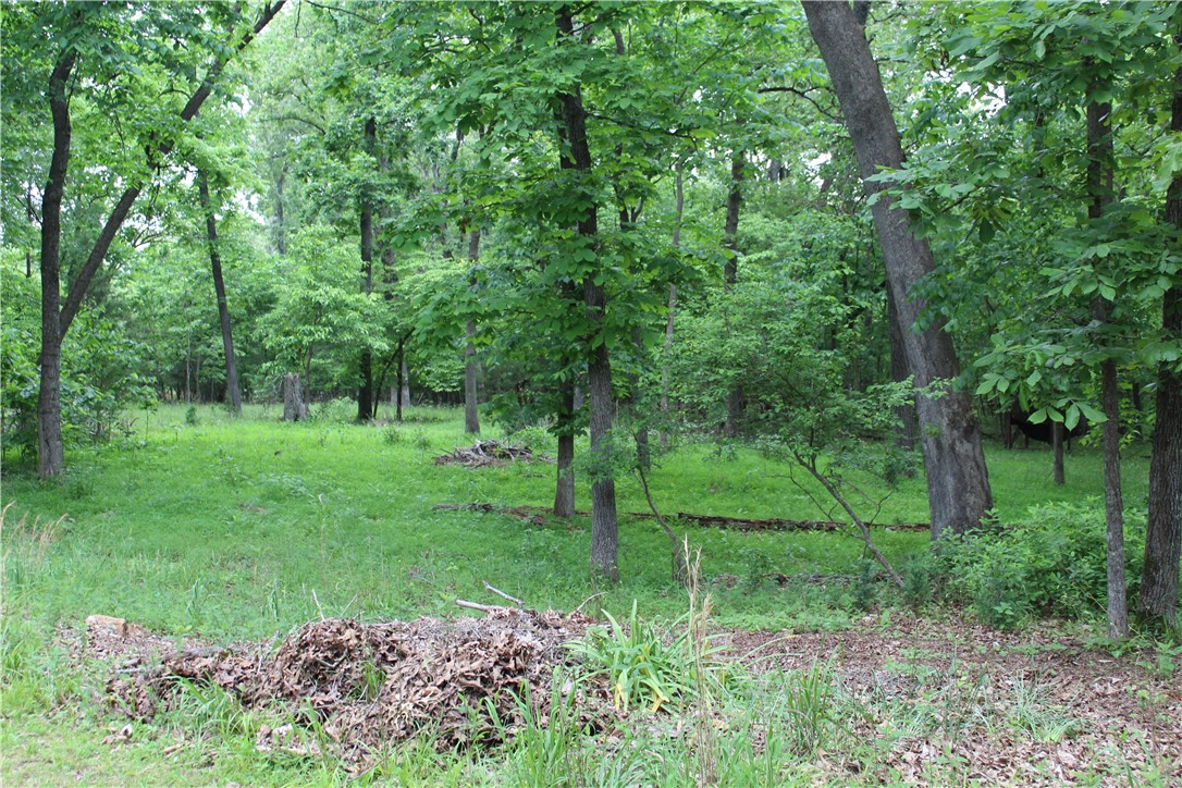 Image 38