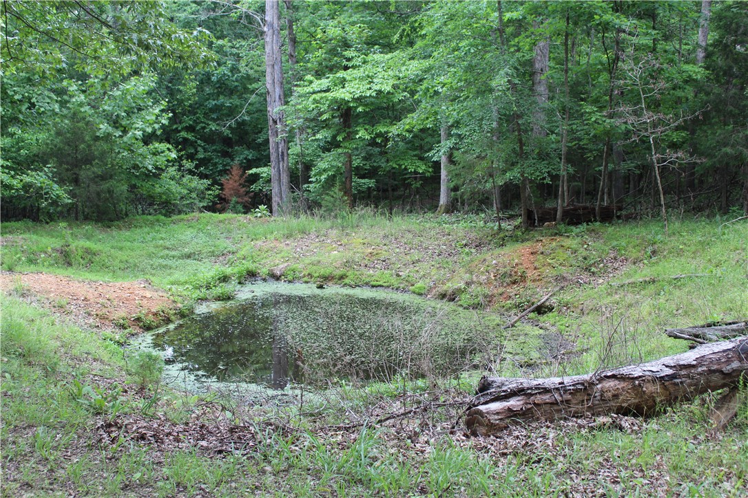 Image 41