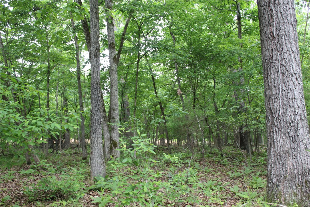 Image 42