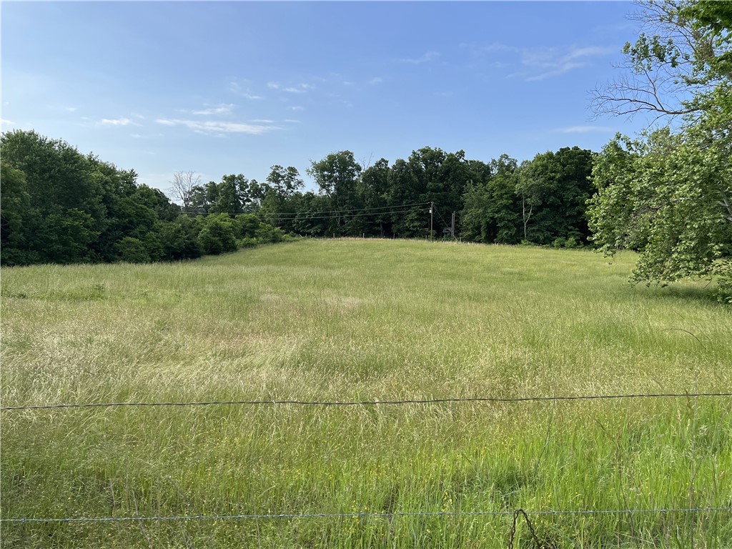 Image 45