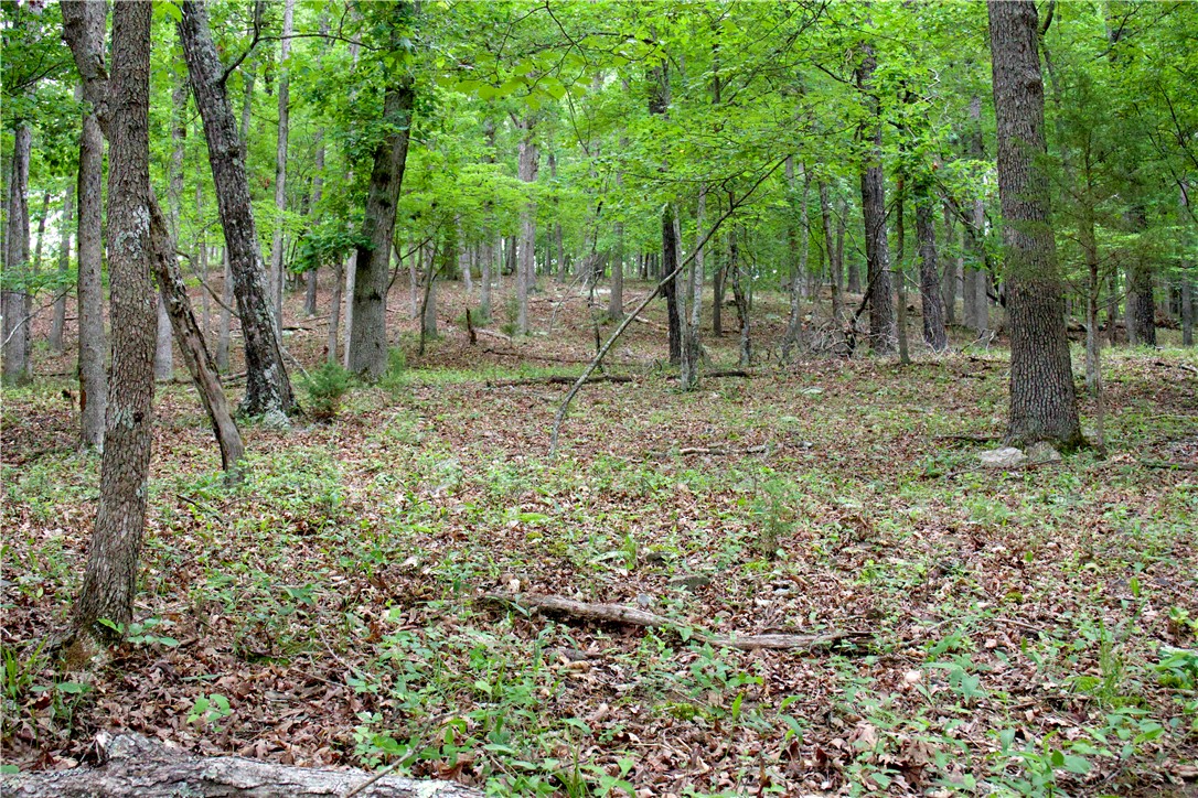 Image 41