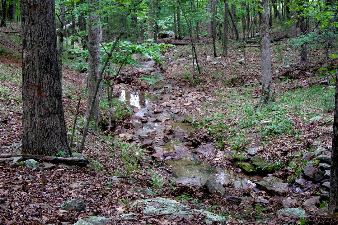 Image 42