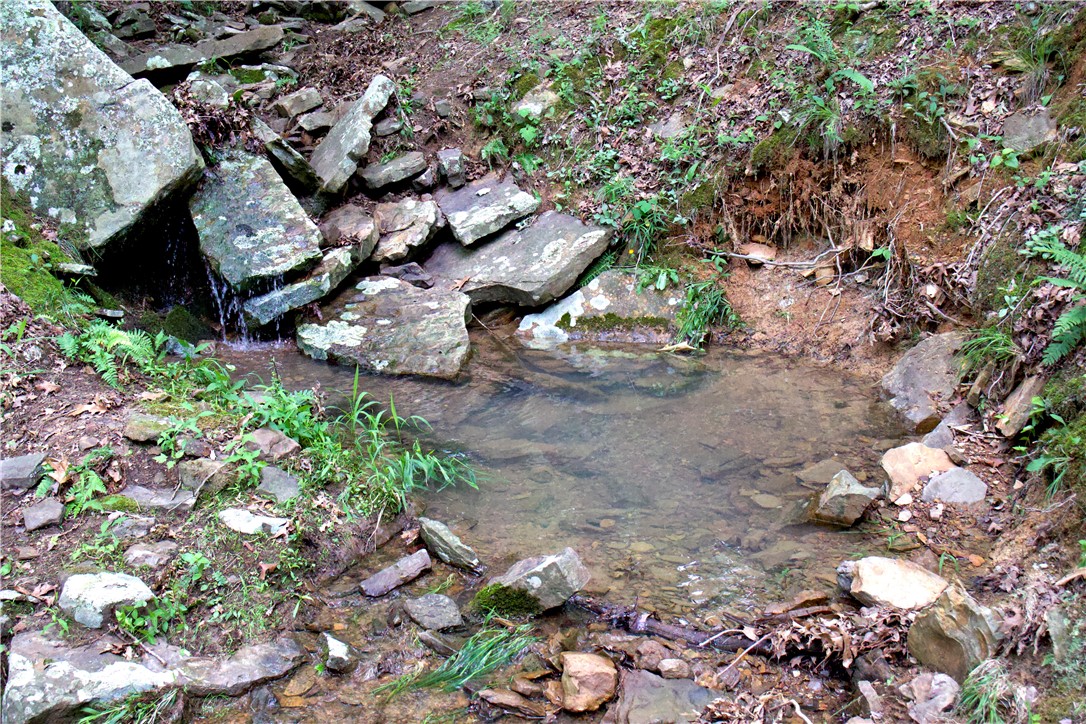 Image 45