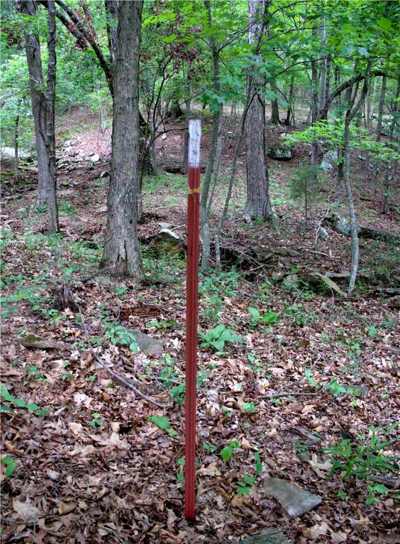 Image 46