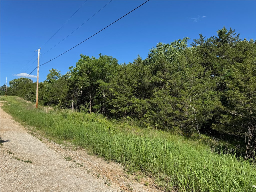 Image 7