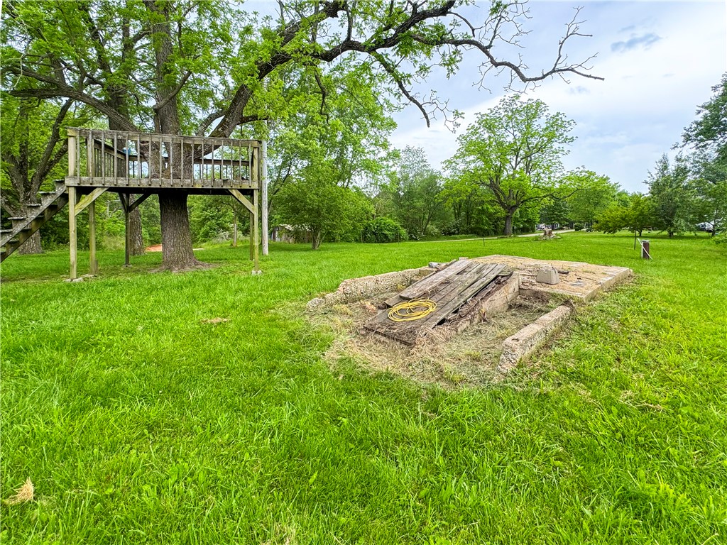 Image 19