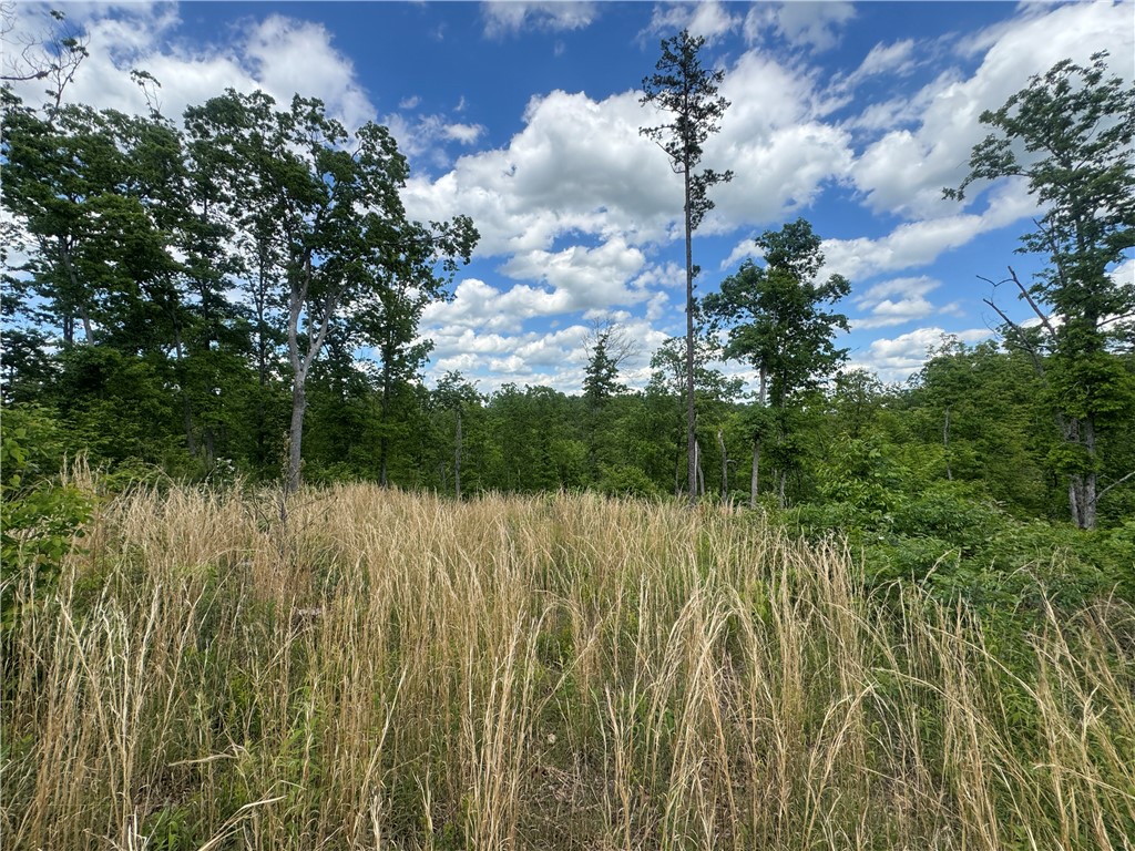 Image 12