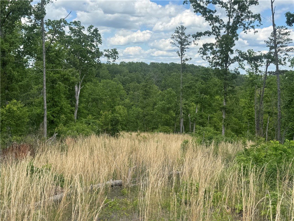 Image 13