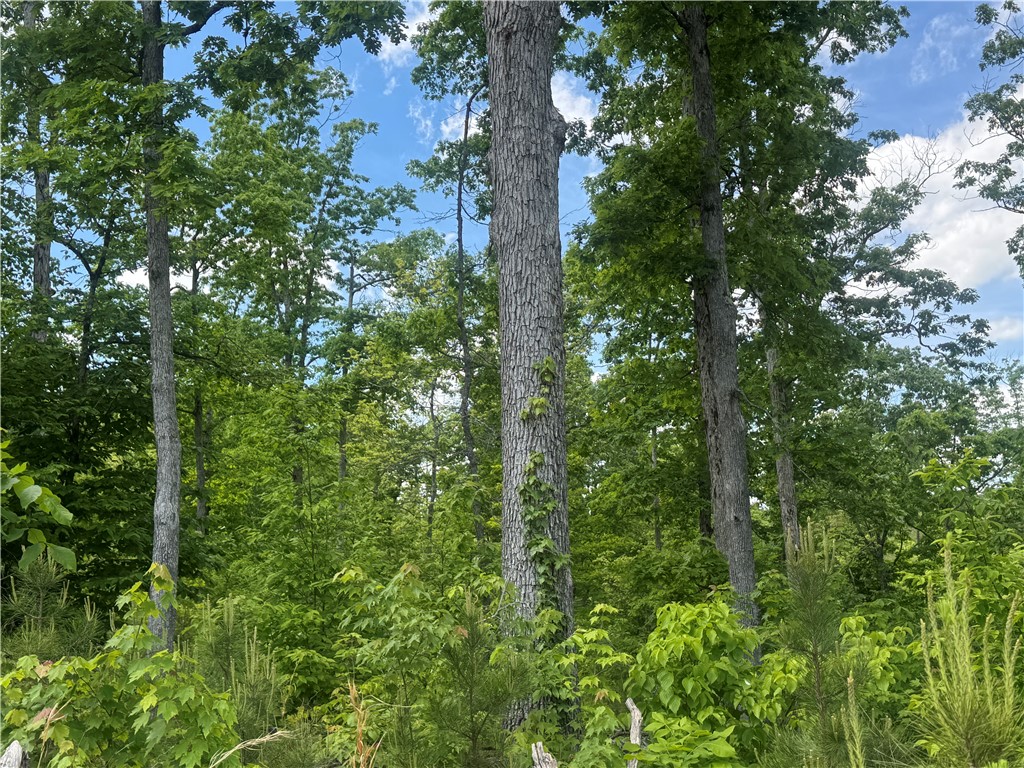Image 14