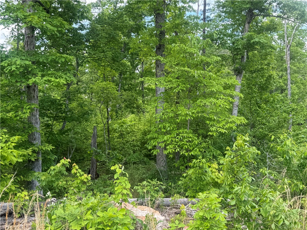 Image 15