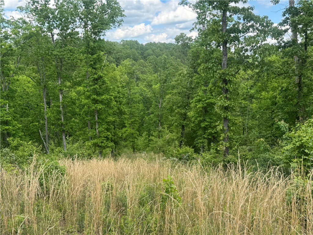 Image 16