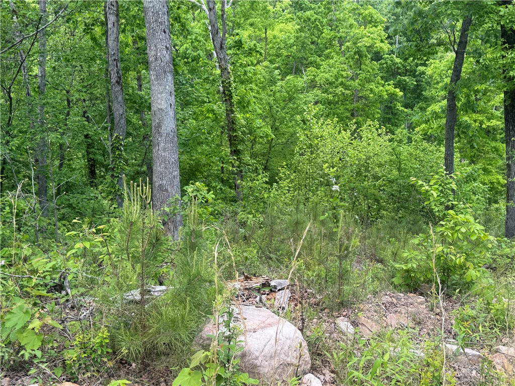Image 17