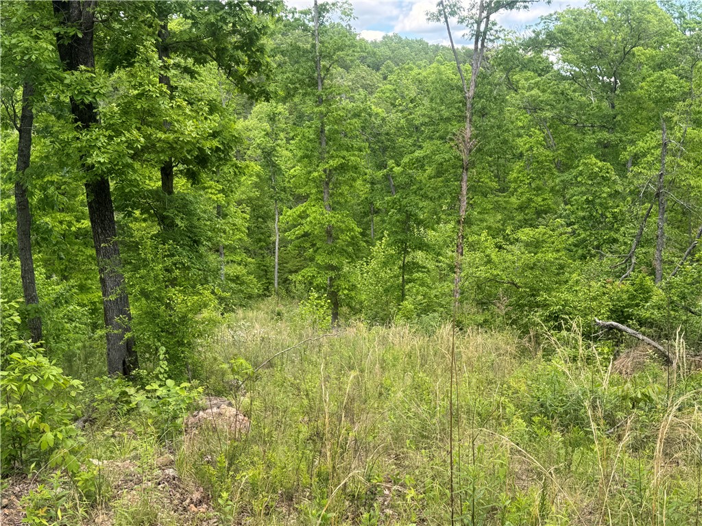 Image 18