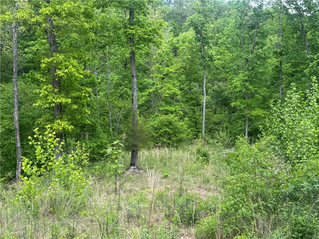 Image 19