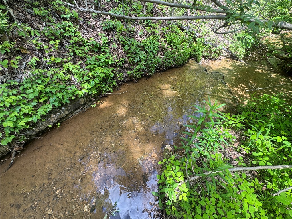 Image 21