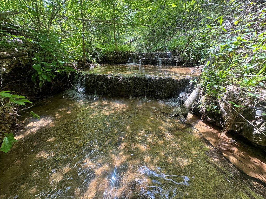 Image 22