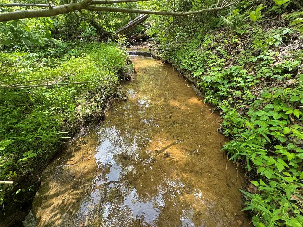 Image 24