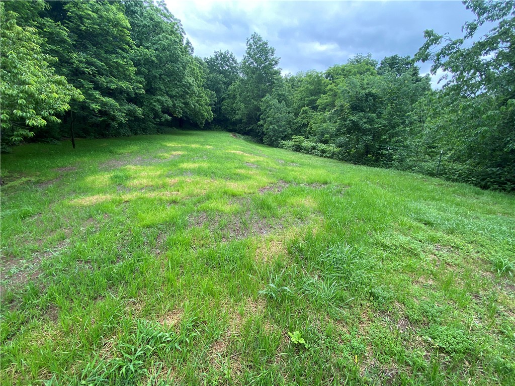 Image 37