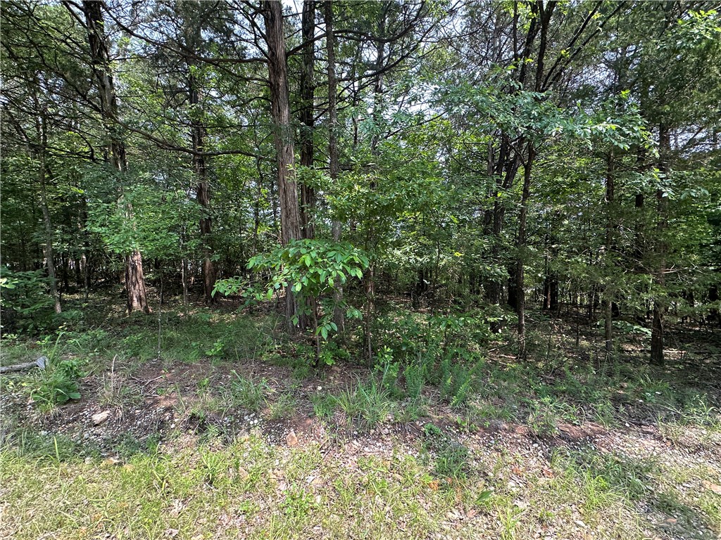 Image 13