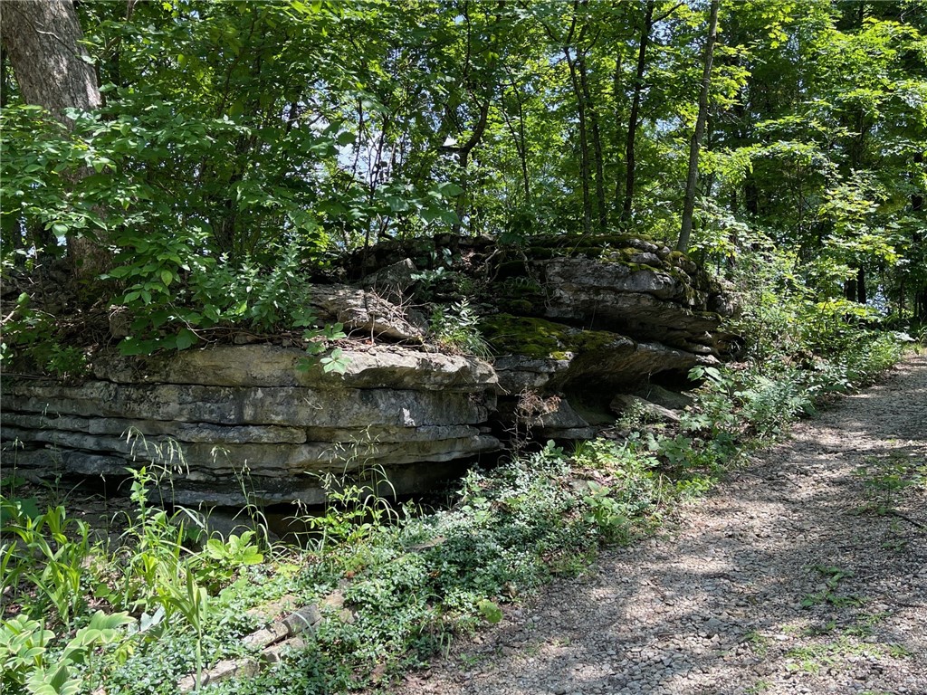 Image 53