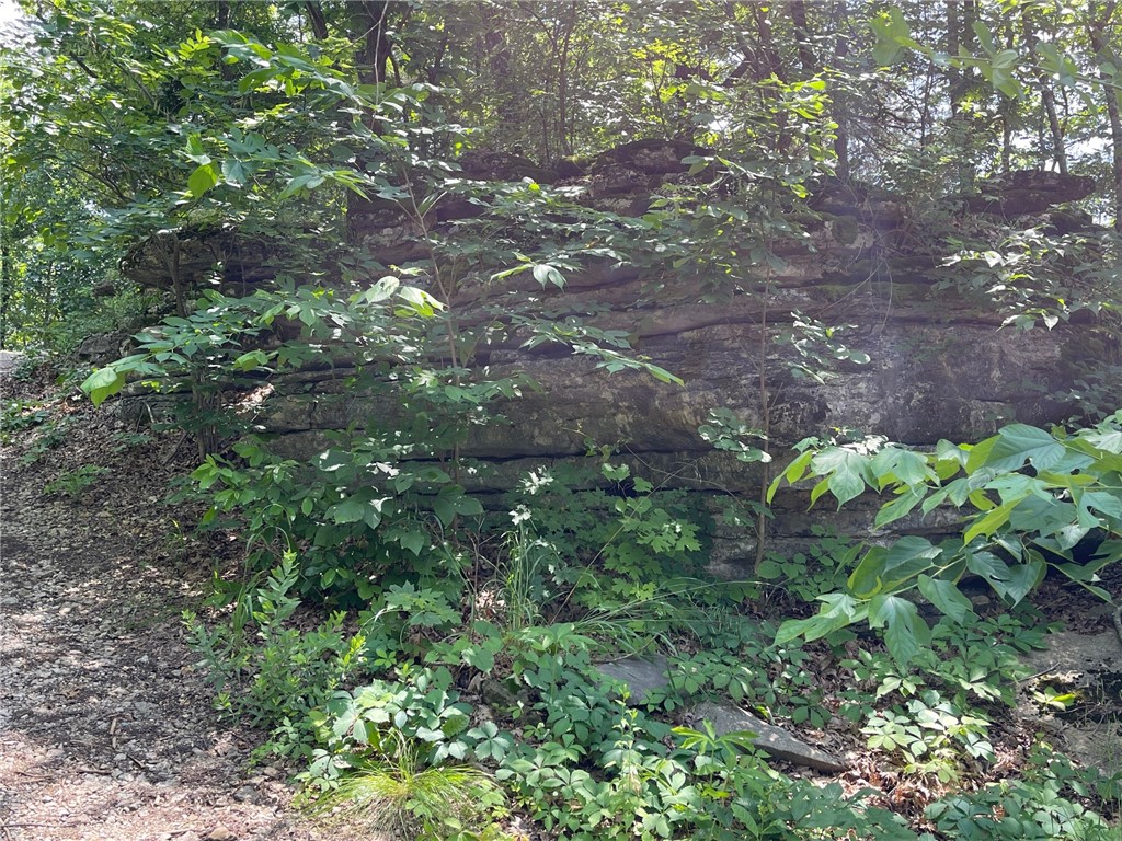 Image 54