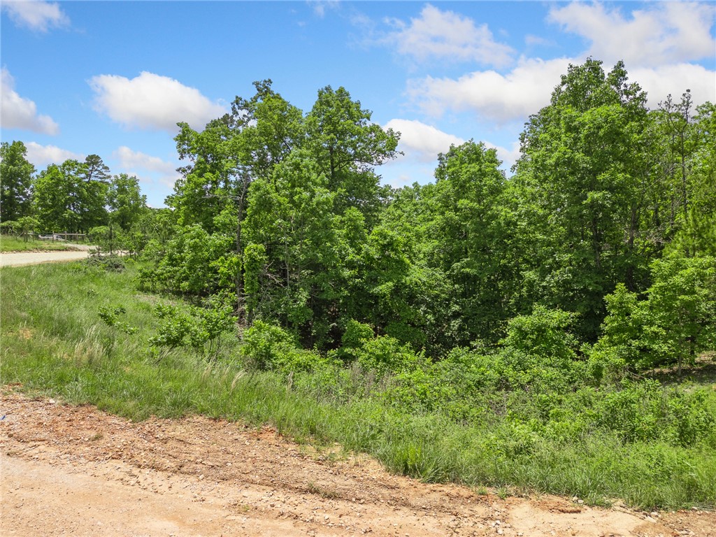 Image 14