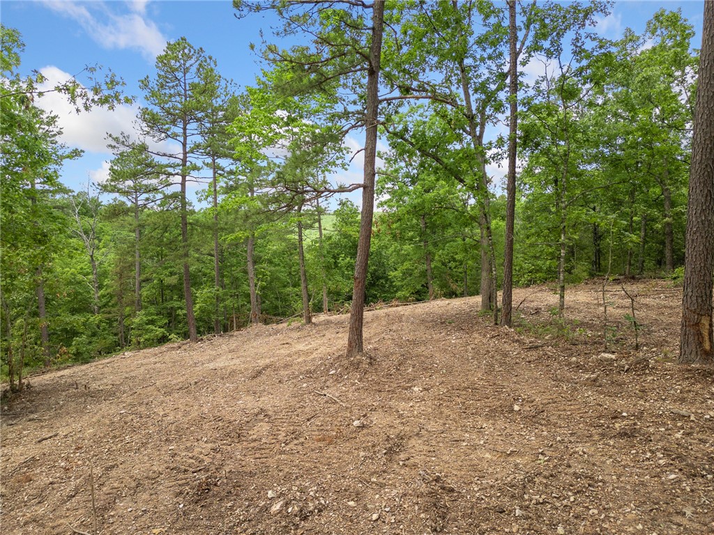 Image 9