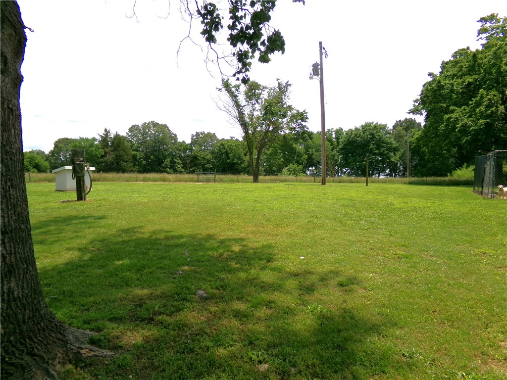 Image 42