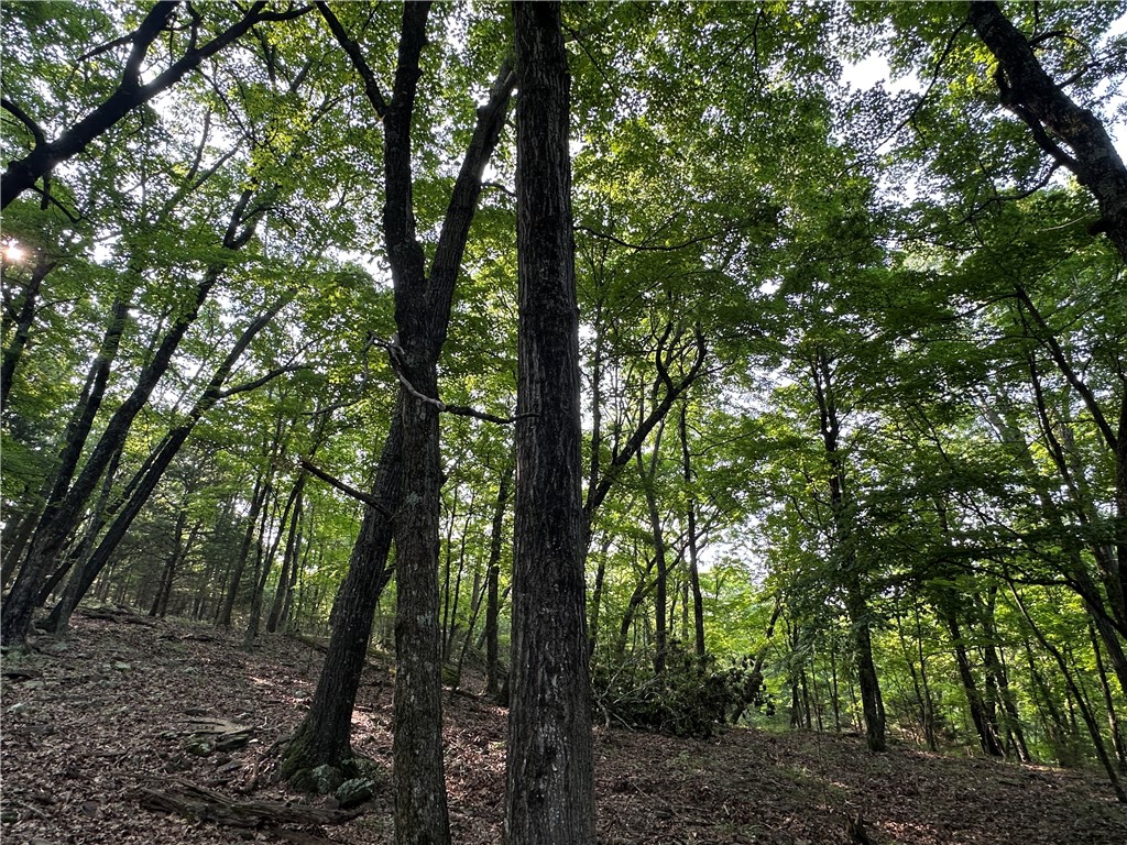 Image 13
