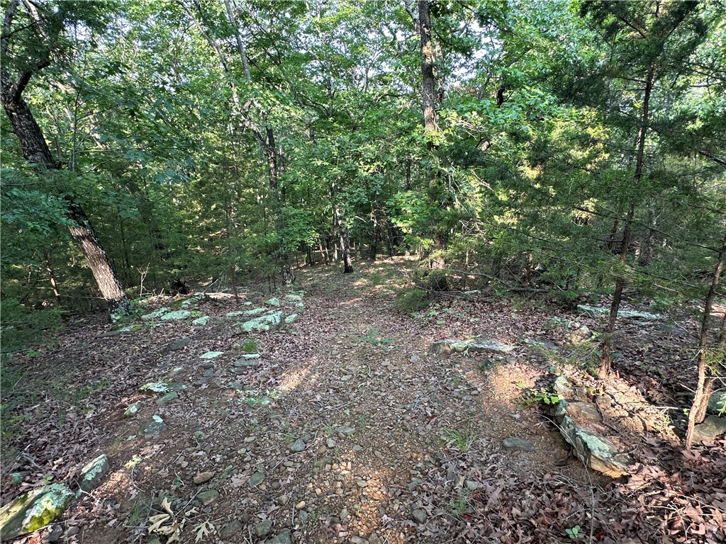 Image 15