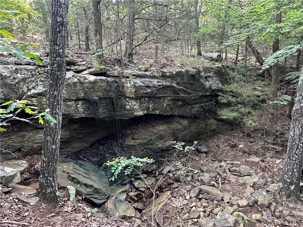 Image 16