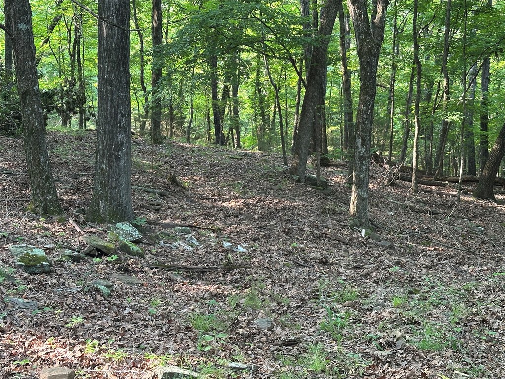 Image 18