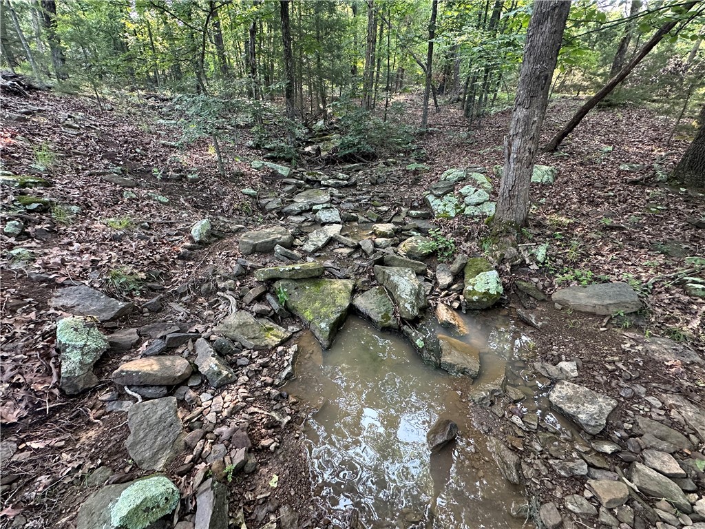 Image 19