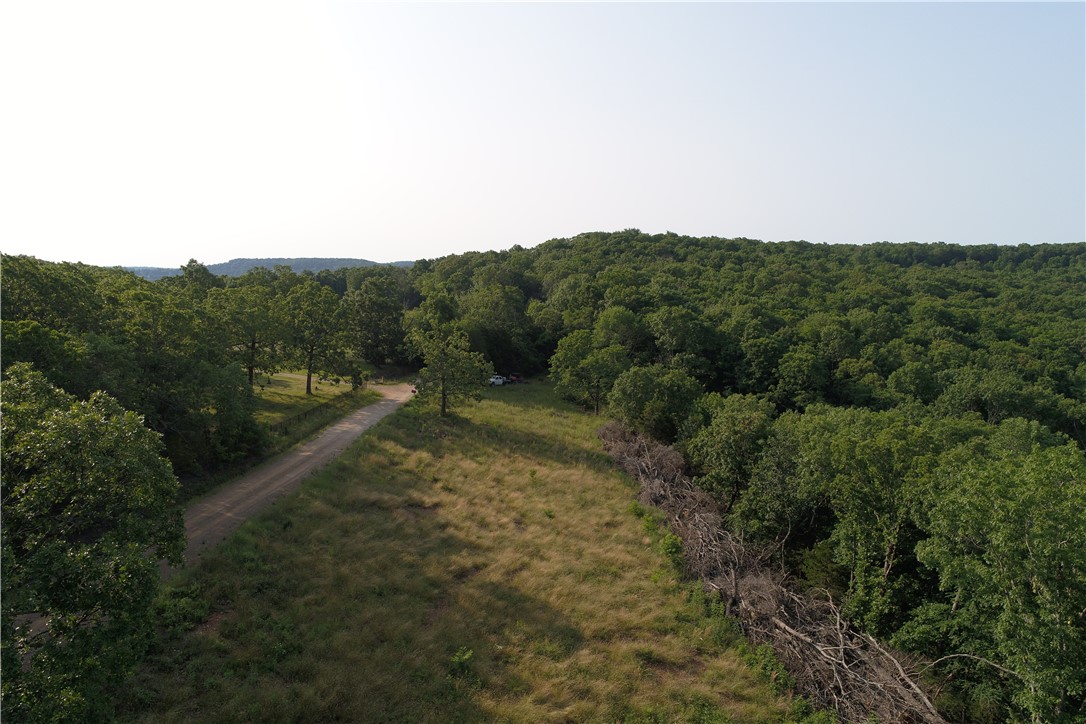 Image 25
