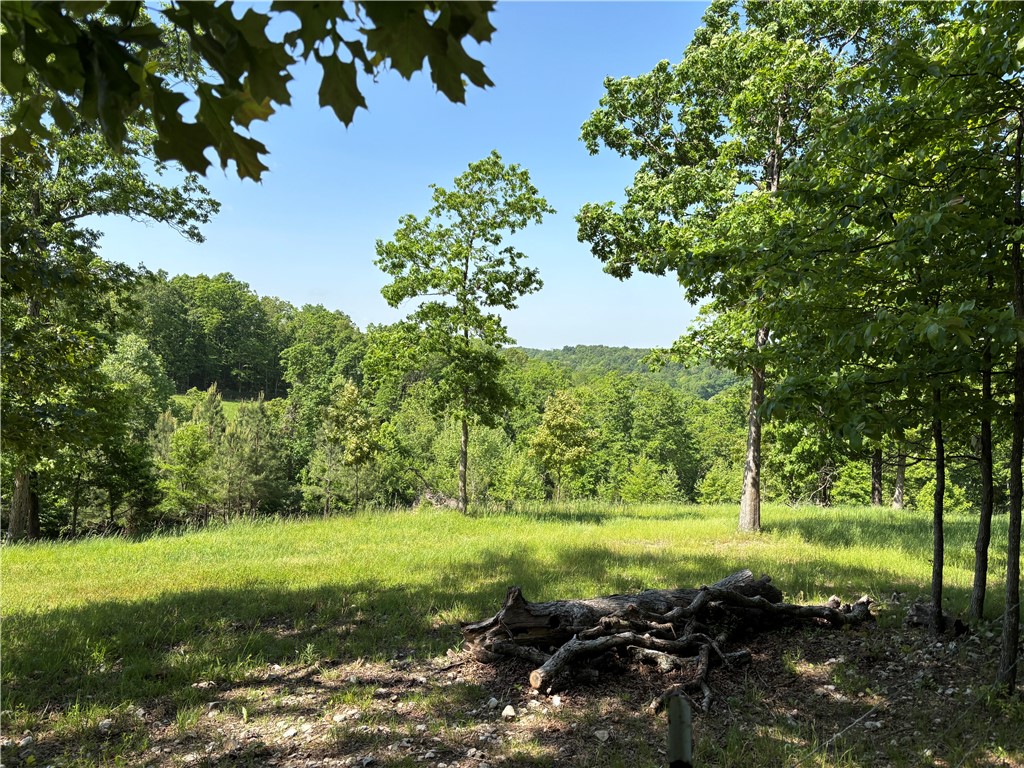 Image 13