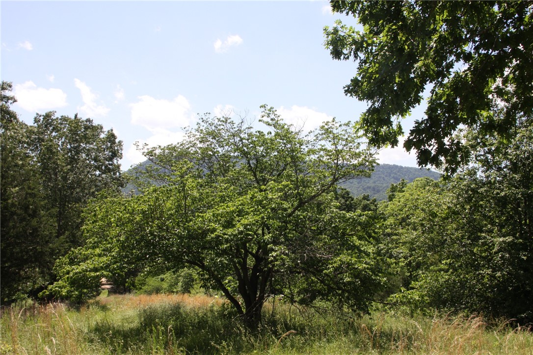 Image 14