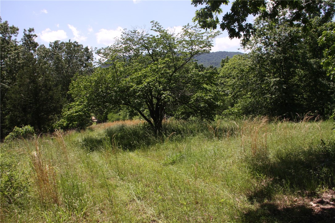 Image 15