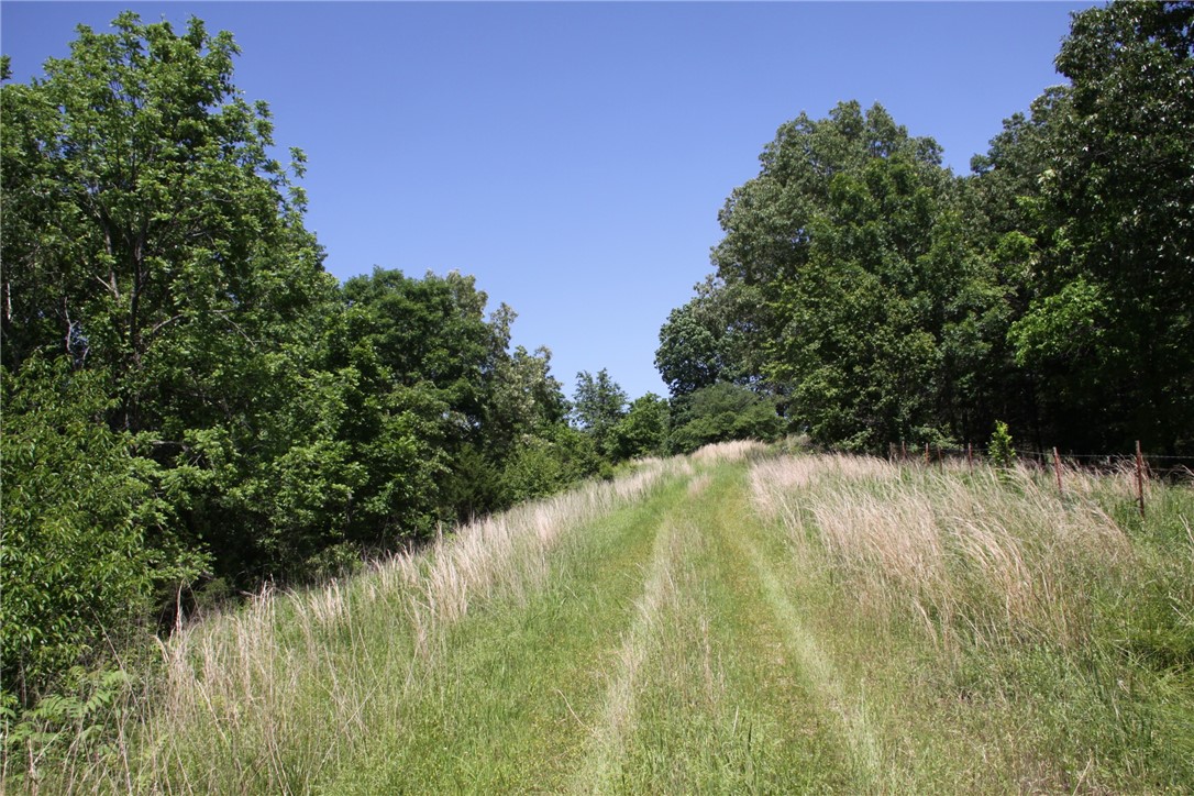 Image 16