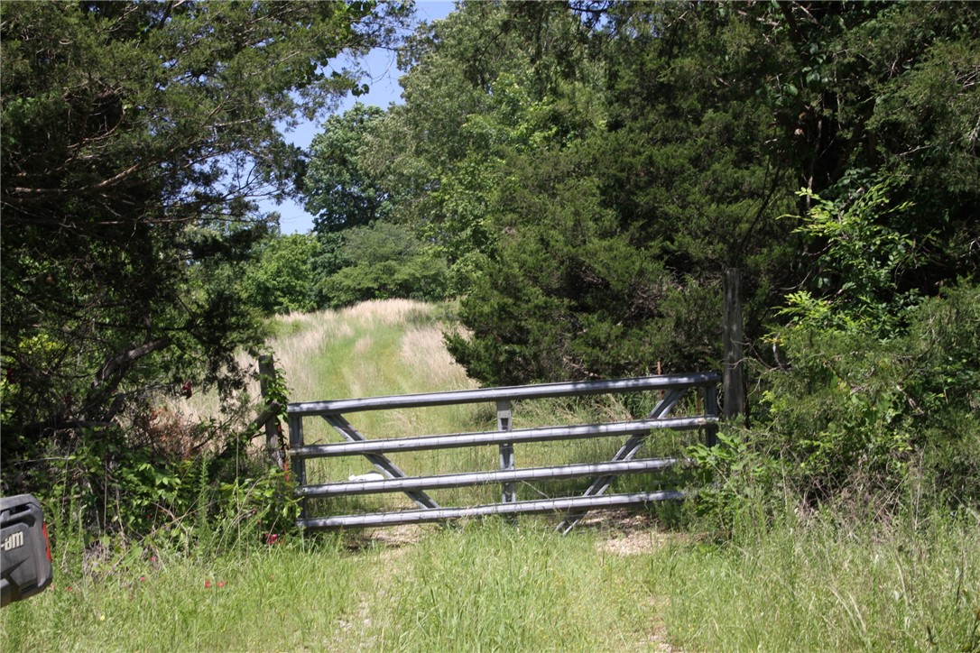 Image 18