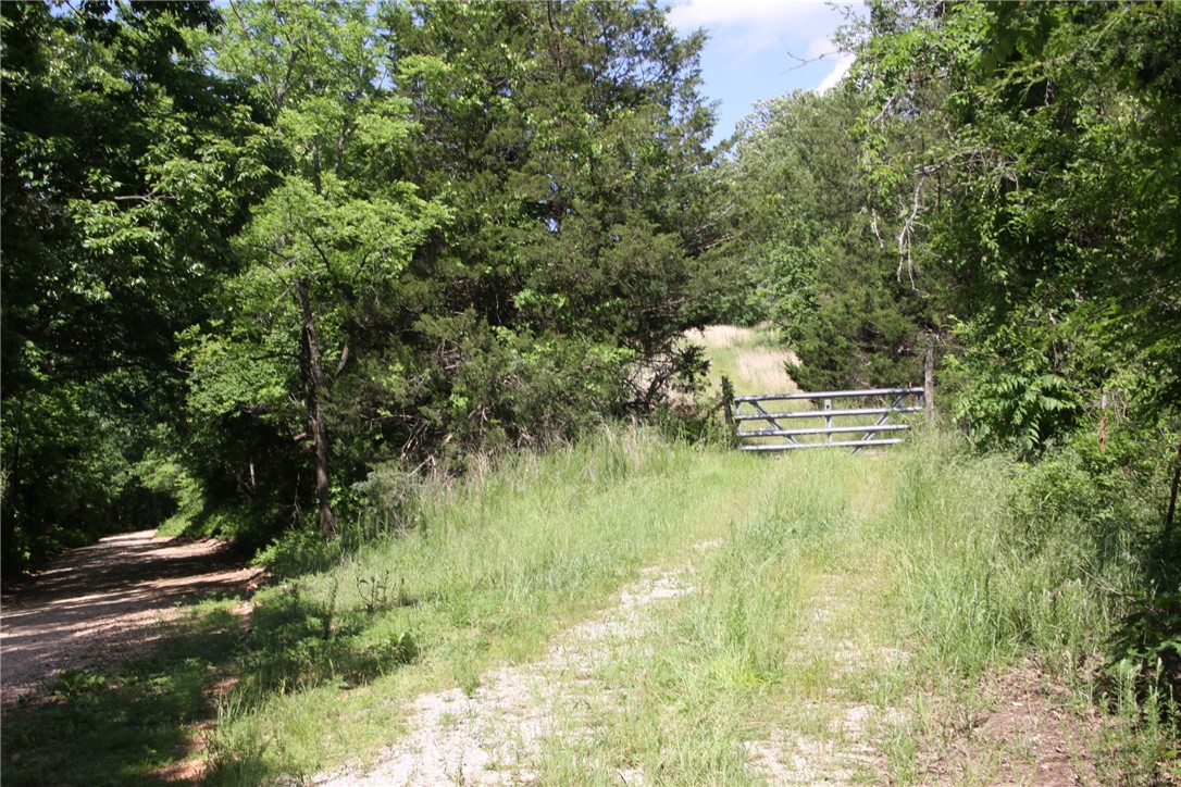 Image 19