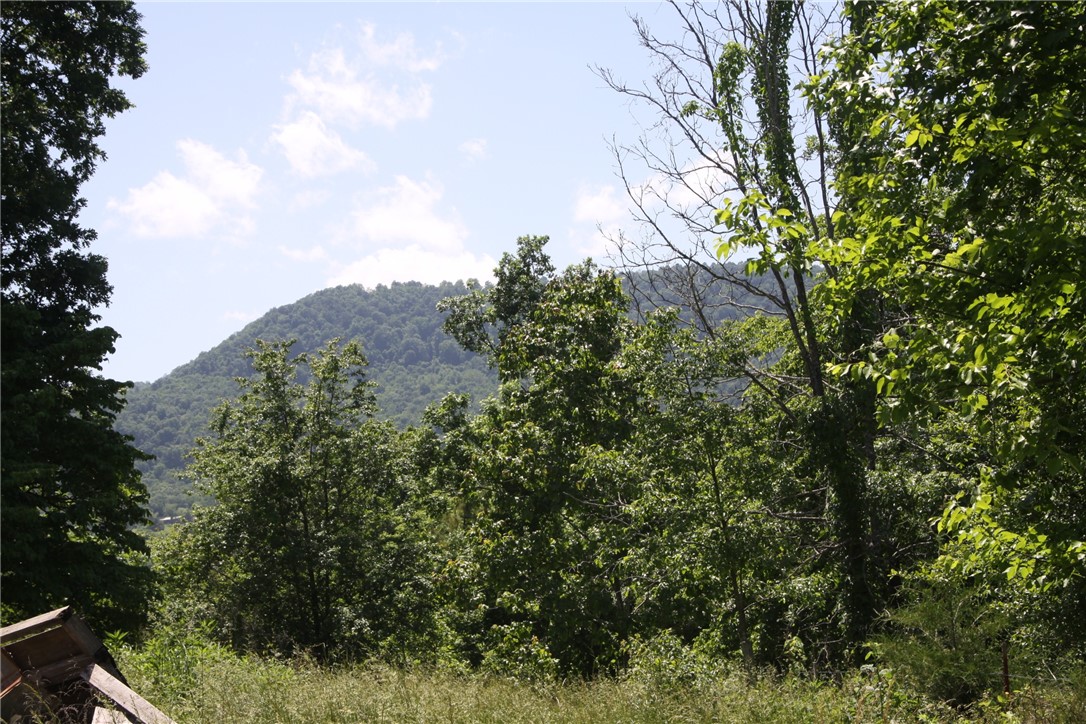 Image 9