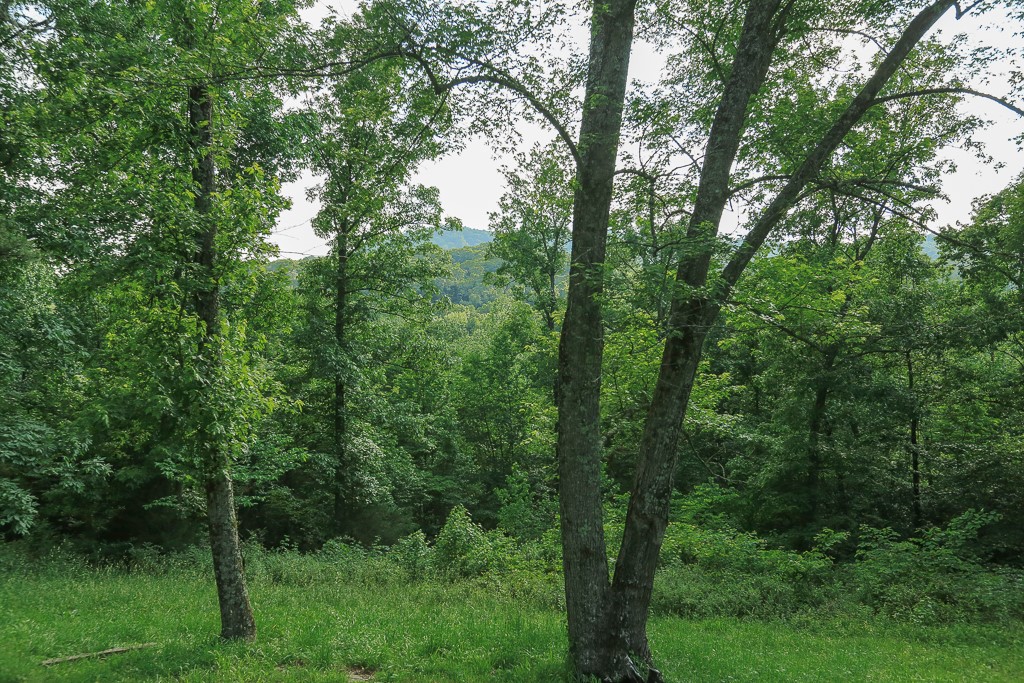 Image 33