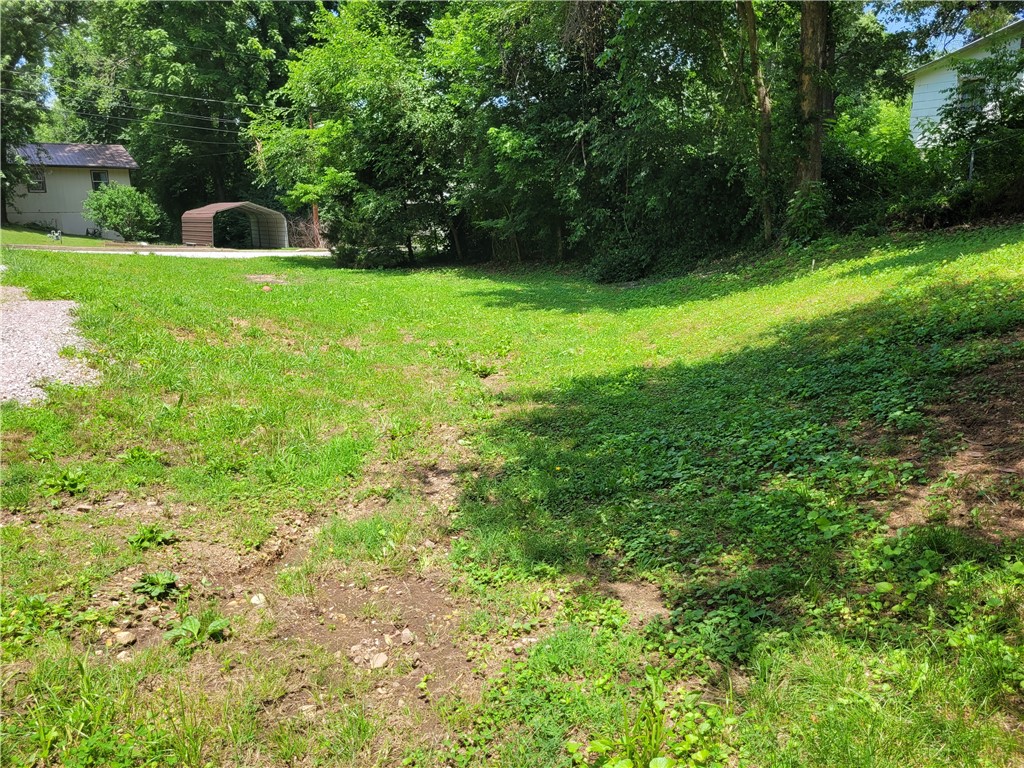 Image 19