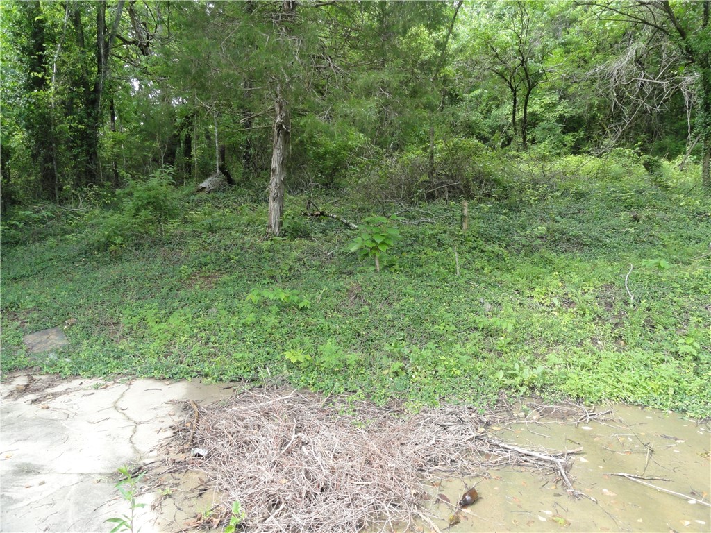 Image 10