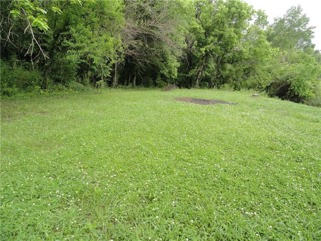 Image 14
