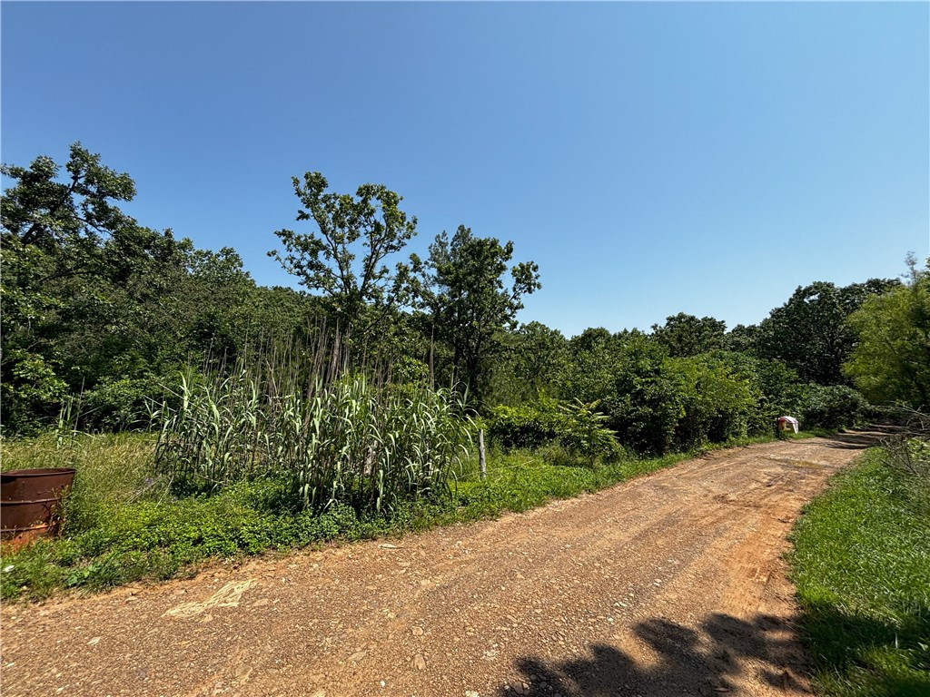 Image 12