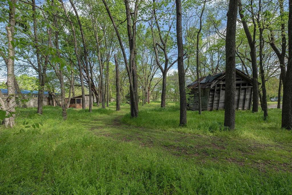 Image 14